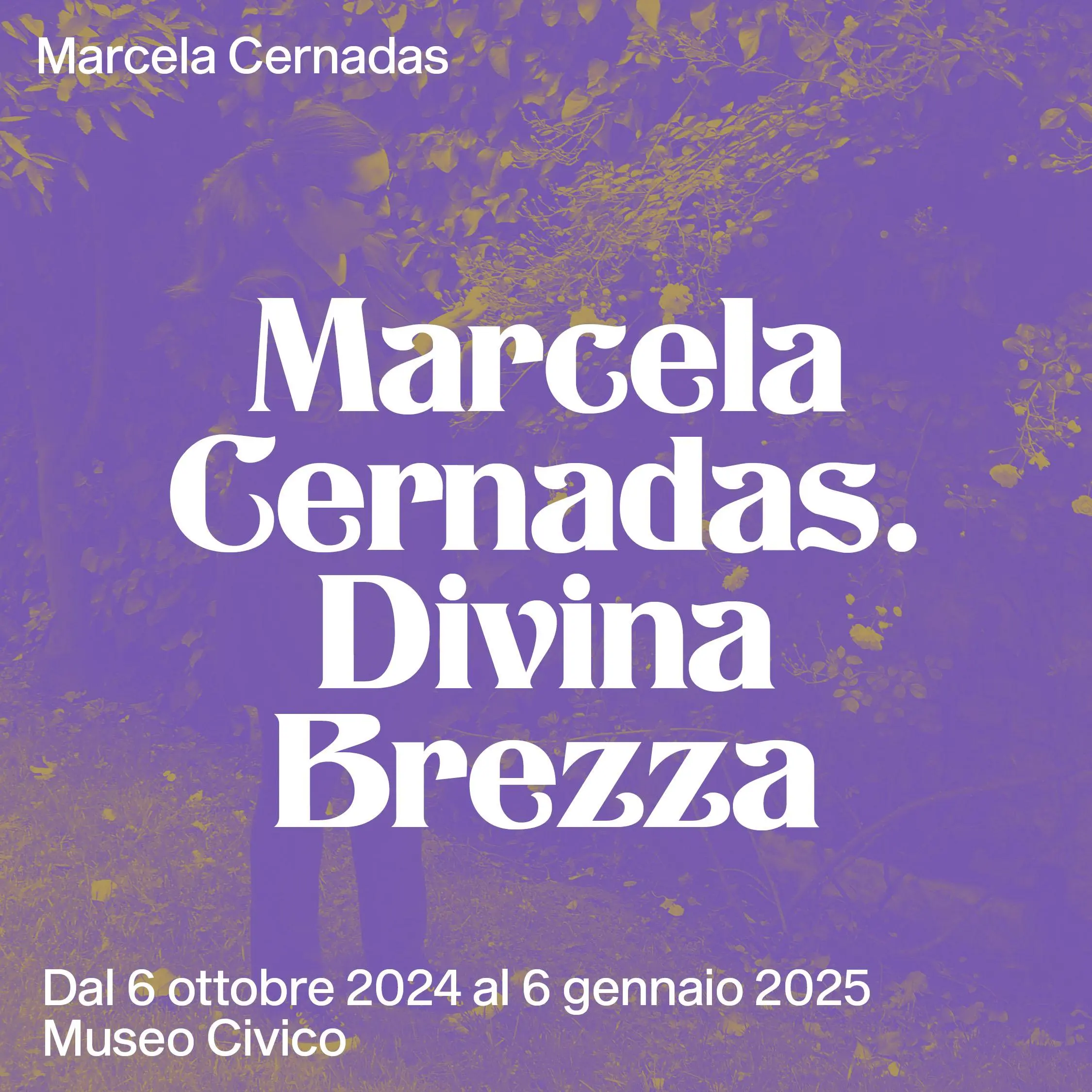 MARCELA CERNANDAS. DIVINA BREZZA