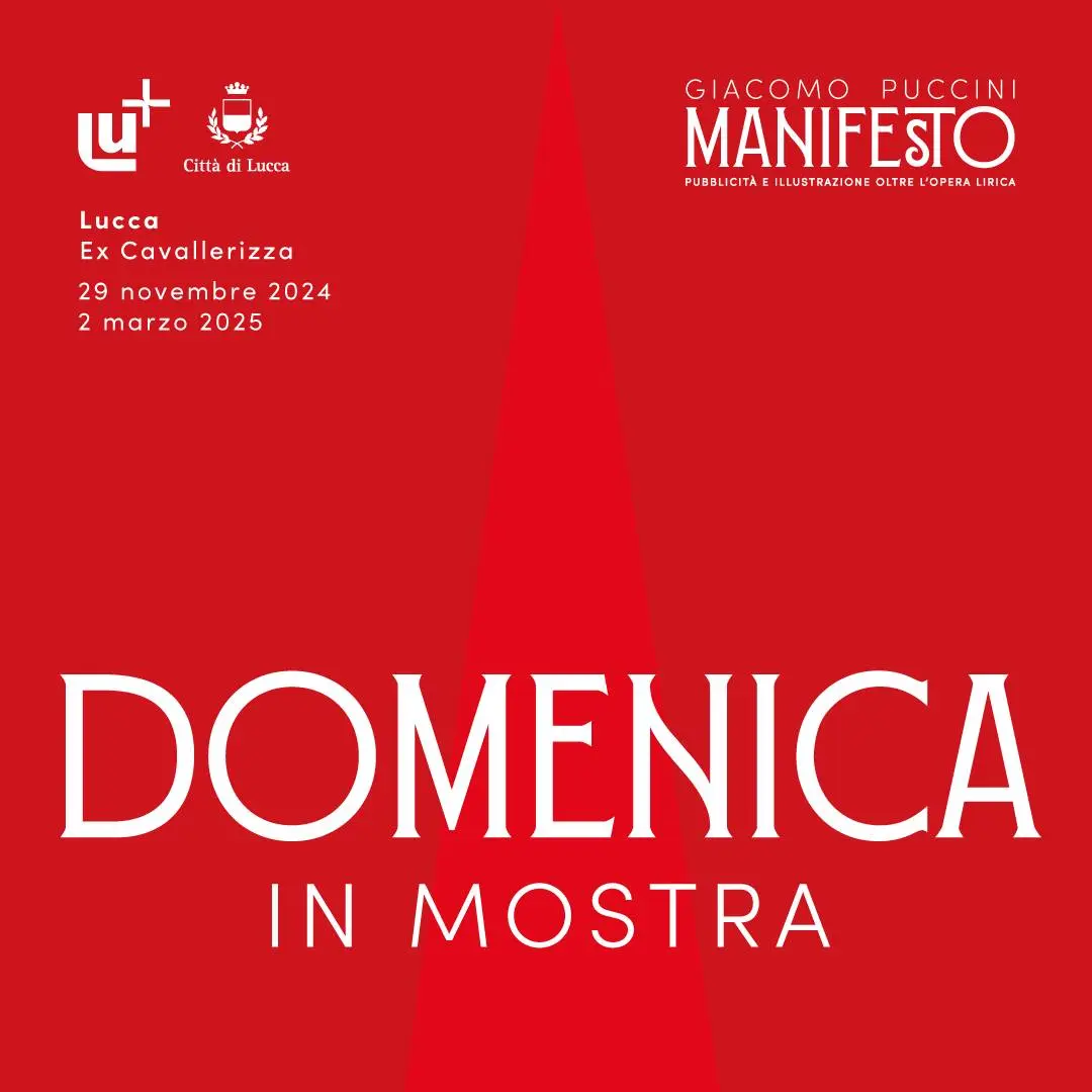 DOMENICA IN MOSTRA