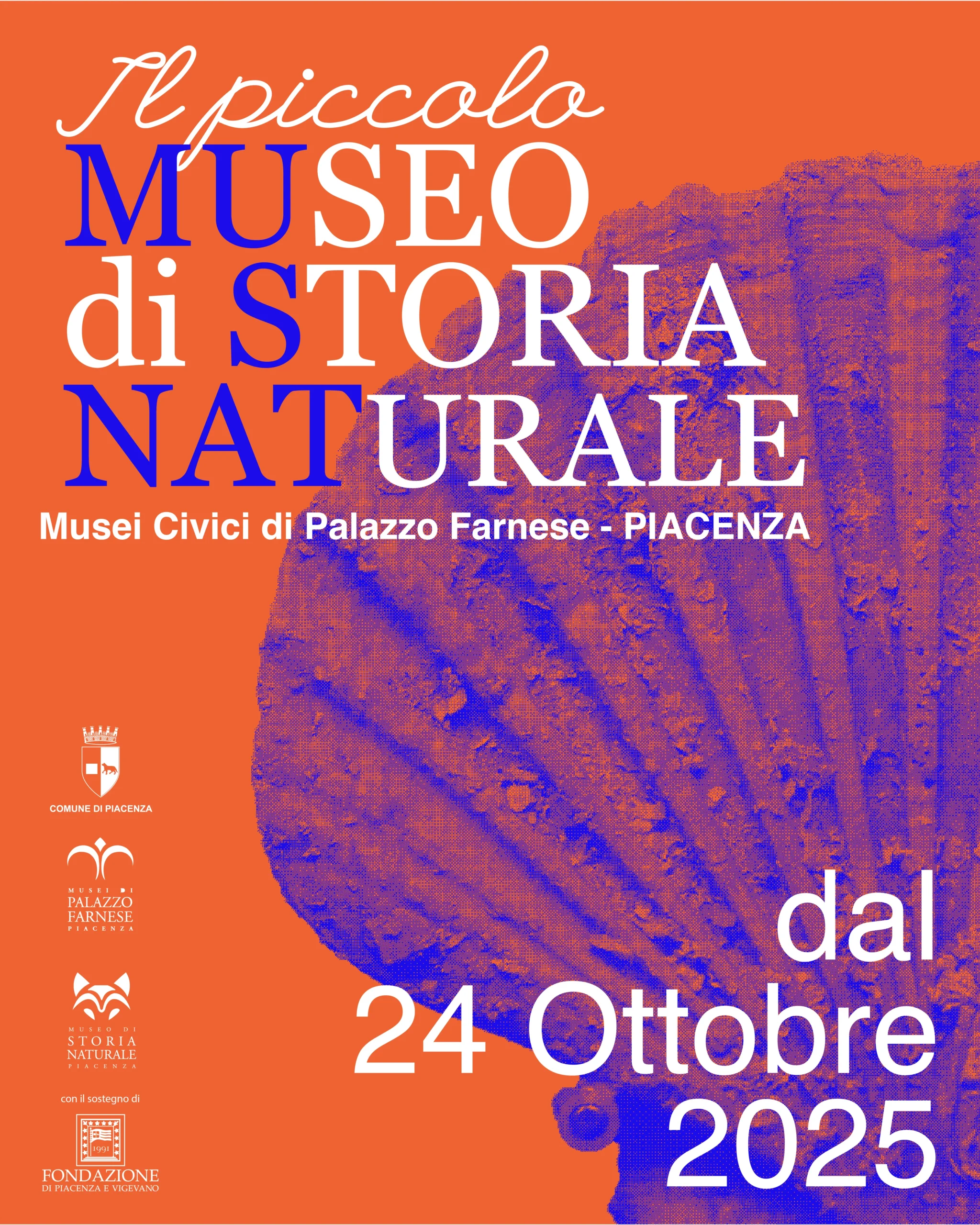 APRE LE PORTE IL PICCOLO MUSEO DI STORIA NATURALE