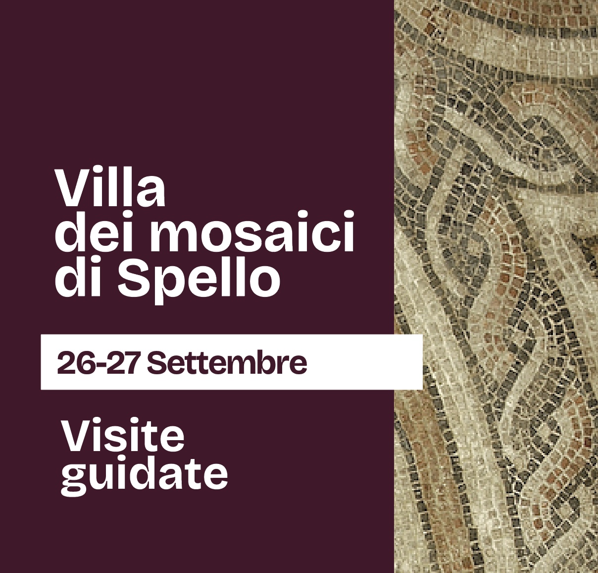 VMS | Speciali visite guidate